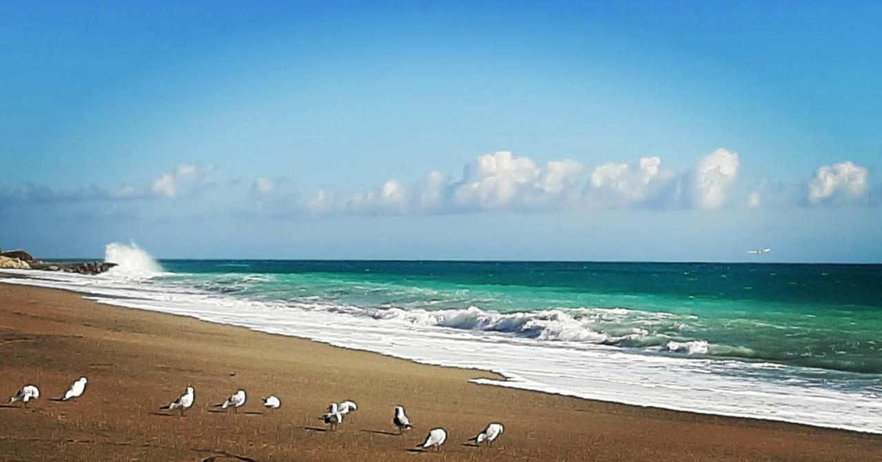 Agriturismo Alveare Finale Ligure Kültér fotó